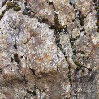 Claire Lippmann - Fotografía.