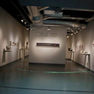 Claire Lippmann - University of Texas El Paso, USA