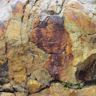 Claire Lippmann - Fotografía.