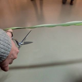 Claire Lippmann - University of Texas El Paso, USA